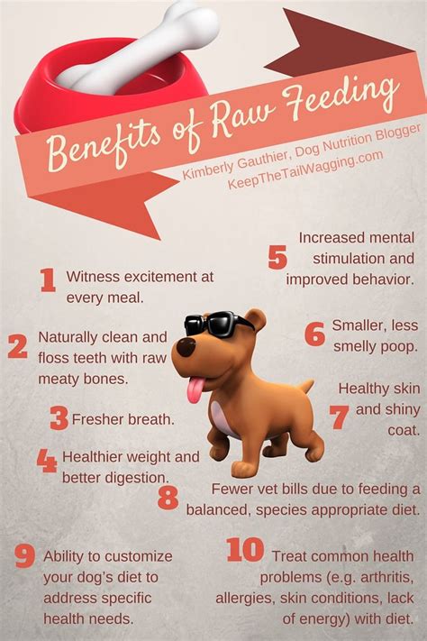 Benefits of Raw Feeding...Amazing infographic created by ...