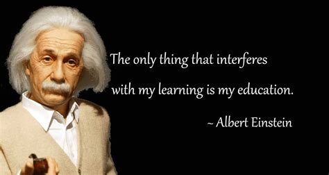 Albert Einstein Education Quotes
