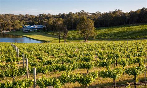 Taste, Touch, See and Hear the Savor of Margaret River Wine Region – Love-Hate Relationship