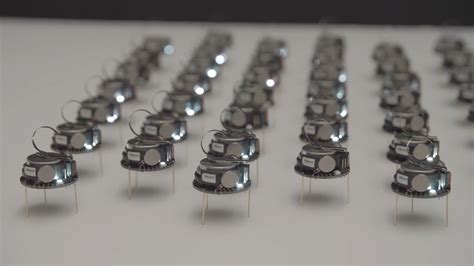 Can A Thousand Tiny Swarming Robots Outsmart Nature? | KQED