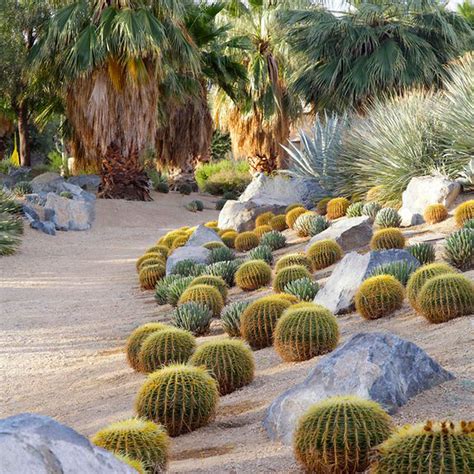 Mimic nature | Succulent landscaping, Cactus garden design, Cactus garden landscaping
