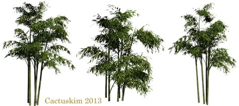 Bamboo PNG Transparent Images | PNG All
