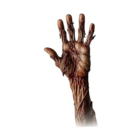 Realistic Zombie Hand Down, Dead Hand, Defeated, Copyspace PNG Transparent Image and Clipart for ...