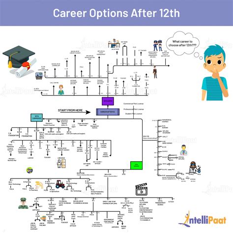 Top Career Options After 12th - What Courses To Do?