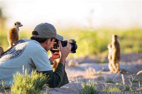 10 Wildlife Photographers You Should Follow on 500px Right Now | HuffPost