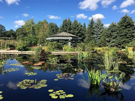 Denver Botanic Gardens - All You Need to Know BEFORE You Go (2024)