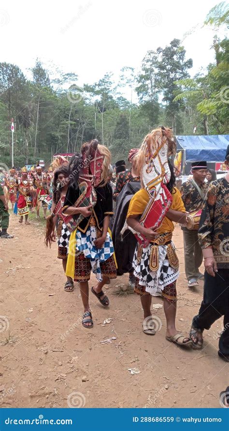 Braid horse art festival editorial stock image. Image of rows - 288686559