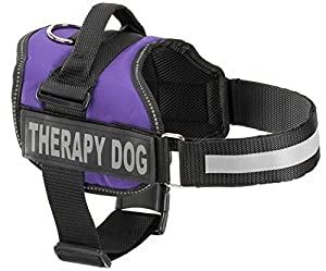 : Amazon.com: Therapy Dog Vest Harness, Service Dog Vest with 2 ...