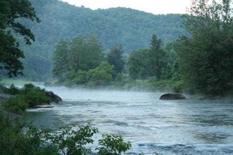 New River State Park in North Carolina | State parks, North carolina ...