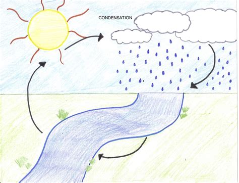 Condensation - Water Cycle