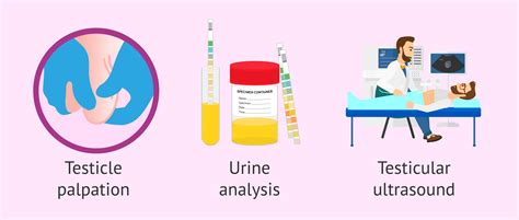 Diagnotic tests for orchitis