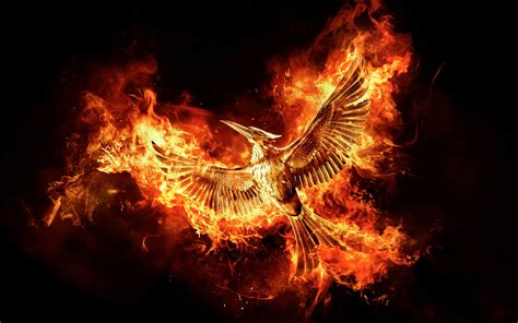 The Hunger Games MockingJay Part 2 Movie, HD Movies, 4k Wallpapers ...