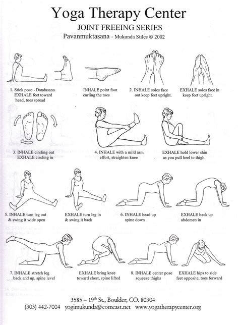 Yoga Asanas For Beginners | Blog Dandk