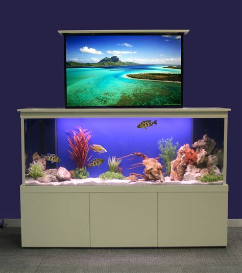 Innovative Fish Tank | Fresh Design Blog