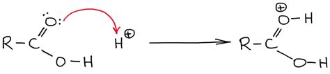 Protonating A Carboxylic Acid: Which Atom To Choose? — Organic ...