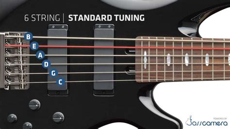 Bass Tuning - 6 Strings Standard (B,E,A,D,G,C) [HD] - YouTube