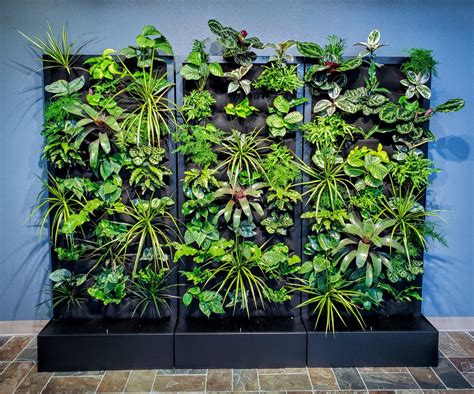 Modular Living Wall Units Offer a Green Experience – Plants On Walls