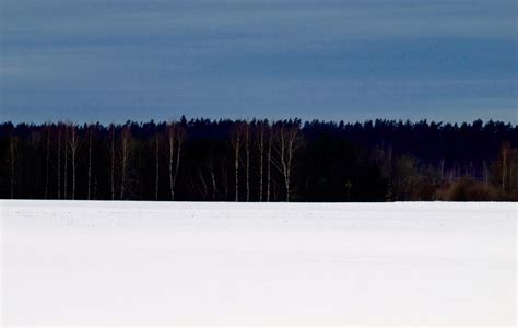 Eesti_lipp - Raasiku Põhikool Estonia Flag, Winter Flags, Lithuania Travel, 10 Interesting Facts ...