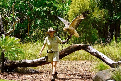 Territory Wildlife Park - Faszinierende, artenreiche Tierwelt im Top End - Passenger On Earth