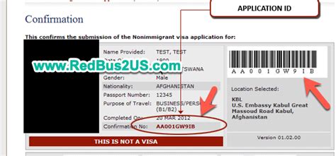 HOW to Check US Visa Status Online? CEAC Site, Errors[2025]