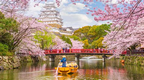 How to Celebrate Cherry Blossom Season in Japan | byFood