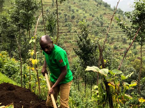 Early Warning Climate Forecasting in Rwanda 2010-2015 | UNEP - UN ...