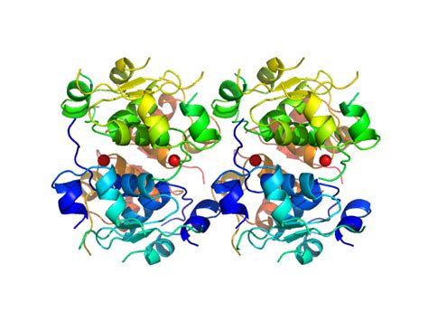 SASDF94 – Insulin glulisine (Apidra), oligomeric composition