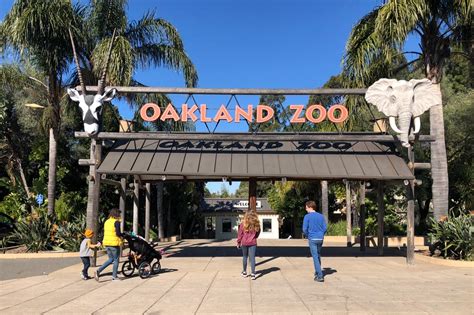 Wildlife Adventure at the Oakland Zoo | Marin Mommies