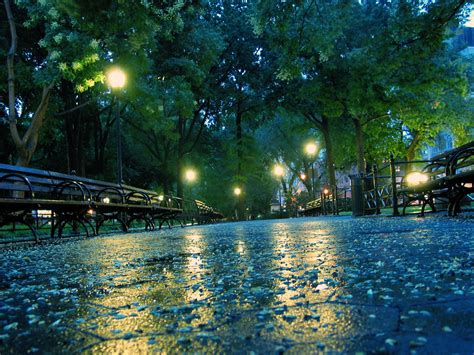 A Rainy Day | Union Square Park on a rainy day in New York C… | Nathaniel Landau | Flickr