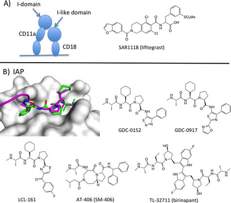 Small-molecule inhibitors of protein-protein interactions: progressing ...