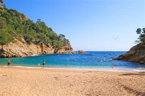 10 Best Beaches in Costa Brava - Which Costa Brava Beach is Right for You? - Go Guides