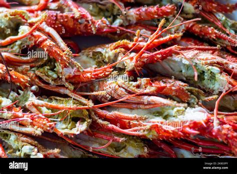 Spiny lobster buffet in Cagayan, Philippines Stock Photo - Alamy