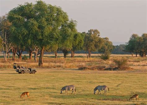 Visit South Luangwa National Park, Zambia | Audley Travel US