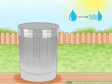 4 Ways to Get Rid of a Maggot Infestation - wikiHow