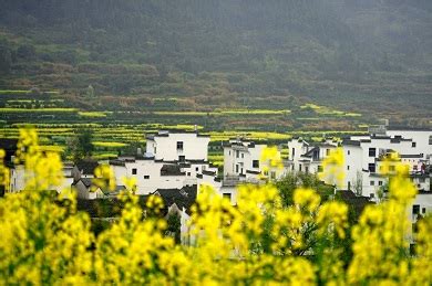 In search for Spring | Momentous Asia Travel & Events