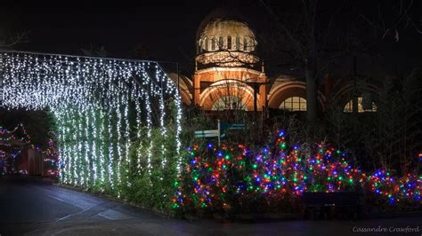 Cincinnati Zoo Festival of Lights 2017 • LexFun4Kids