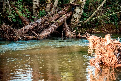 Habitat Project Is ‘Just the Beginning of Something Great’ on the ...