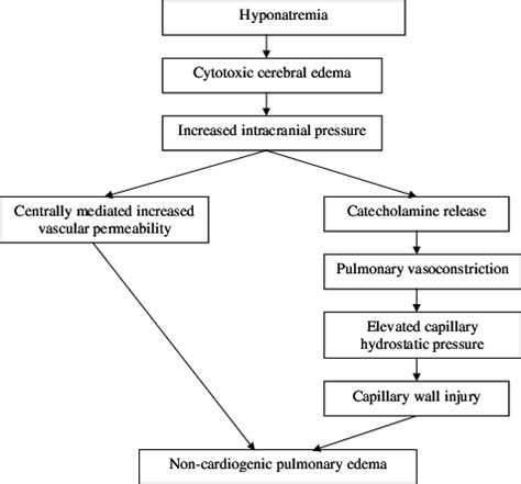 Mechanism of noncardiogenic pulmonary edema in hyponatremic... | Download Scientific Diagram