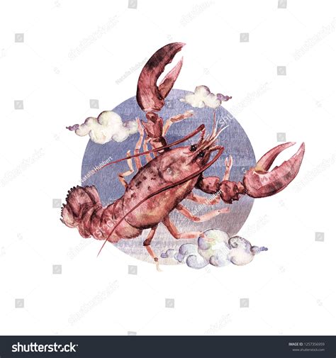 Cancer Zodiac Symbol Watercolor Illustration Stock Illustration 1257356959 | Shutterstock