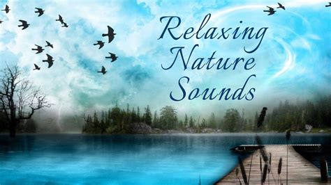 #relaxation #relaxingsounds #naturesounds #relaxationmusic - Relaxing ...