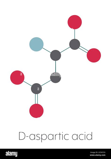 Aspartate Structure