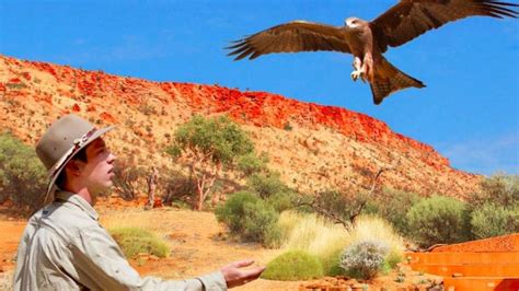 Alice Springs Desert Park Admission incl Return Transfer from Alice Springs - Epic deals and ...