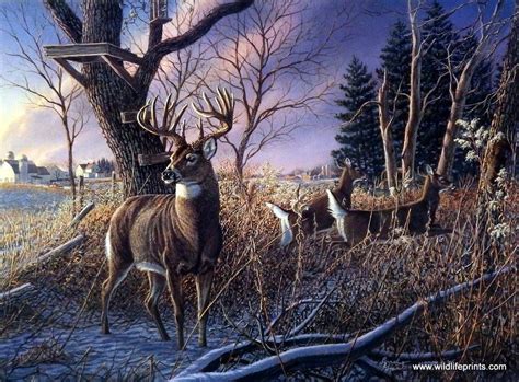 James Meger Shoulda Been There | Hunting painting, Wildlife art, Deer ...