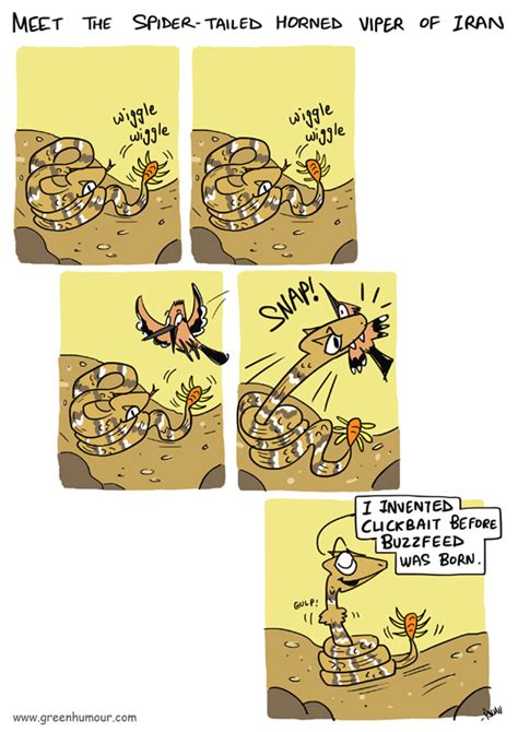 Green Humour: Spider tailed Horned Viper