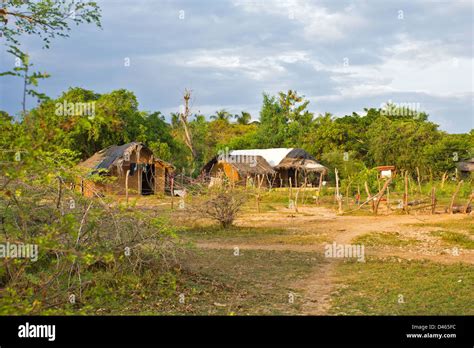 Sri lanka village hi-res stock photography and images - Alamy