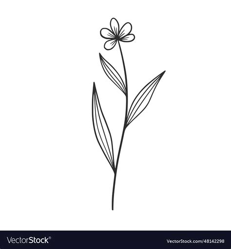 Wildflowers Royalty Free Vector Image - VectorStock