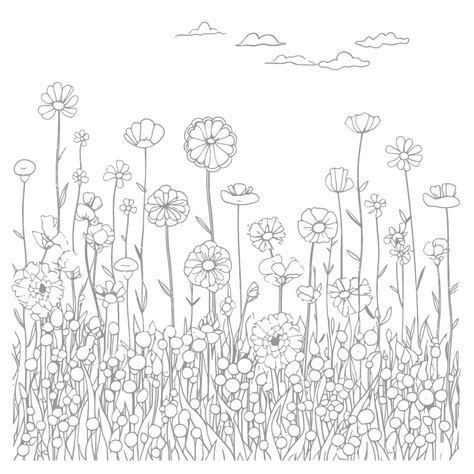 Flower Field Coloring Page Outline Sketch Drawing Vector Flower Field | The Best Porn Website
