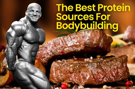 The Best Protein Sources For Bodybuilding | MUSCLE INSIDER