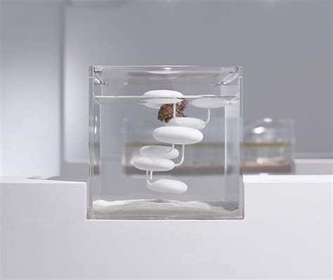 Waterscape: A Series of Minimalist Aquarium Designs Made Using 3D ...