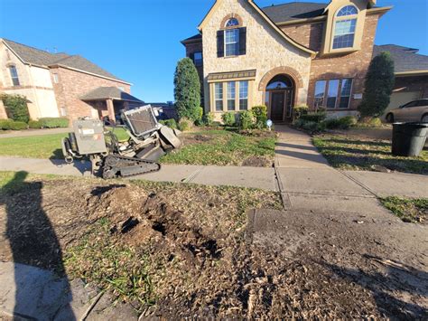 Tree Root Removal | Tree Solutions of Texas